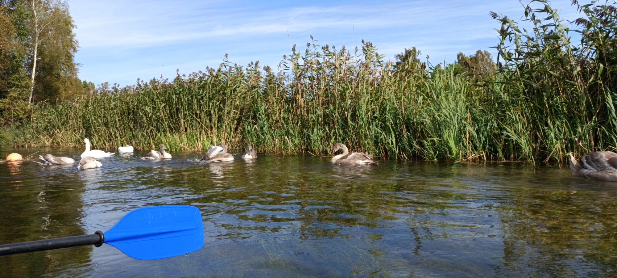 Zaproszenie na Rajd Dinozaura 2026 w Lubiatowie :)